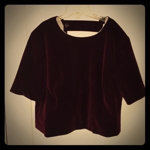 Maroon Velvet Crop top